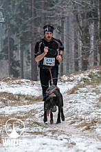 Winter Skyrace 2018 zdarma