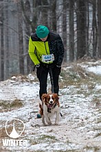 Winter Skyrace 2018 zdarma