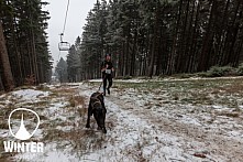 Winter Skyrace 2018 zdarma