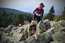 Ještěd Skyrace závody