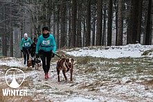 Winter Skyrace 2018 zdarma