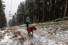 Winter Skyrace 2018 zdarma