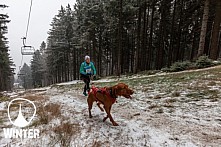 Winter Skyrace 2018 zdarma