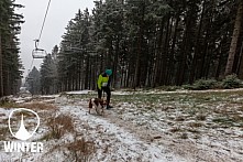 Winter Skyrace 2018 zdarma