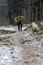 Winter Skyrace 2018 zdarma