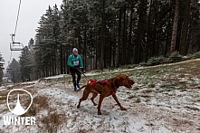 Winter Skyrace 2018 zdarma