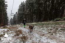 Winter Skyrace 2018 zdarma