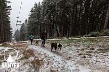 Winter Skyrace 2018 zdarma