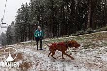 Winter Skyrace 2018 zdarma