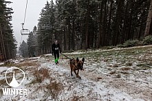 Winter Skyrace 2018 zdarma